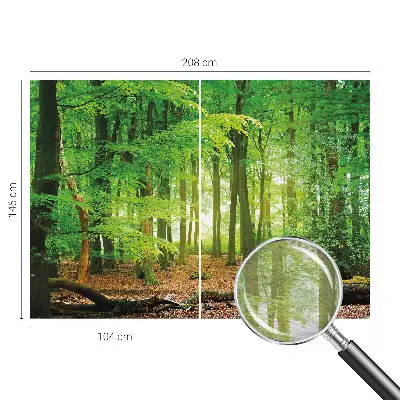 Papier peint photo imprimé sur tissu non tissé Forêt verte