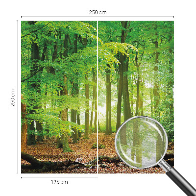 Papier peint panoramique sur mesure Zelený les