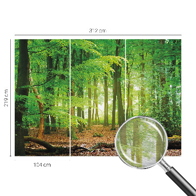 Papier peint panoramique sur mesure Zelený les