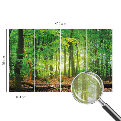 Papier peint panoramique sur mesure Zelený les