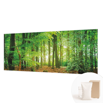 Papier peint panoramique sur mesure Zelený les