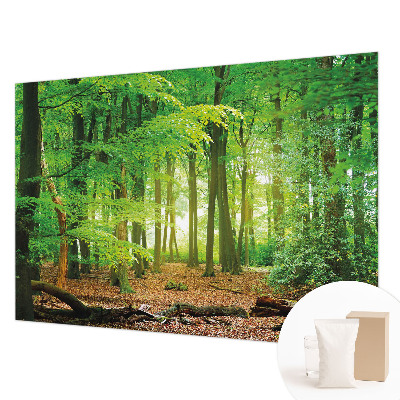 Papier peint panoramique sur mesure Zelený les