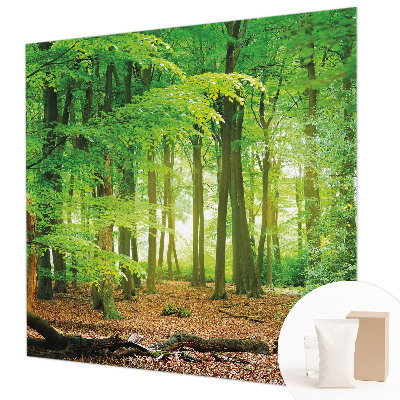 Papier peint panoramique sur mesure Zelený les