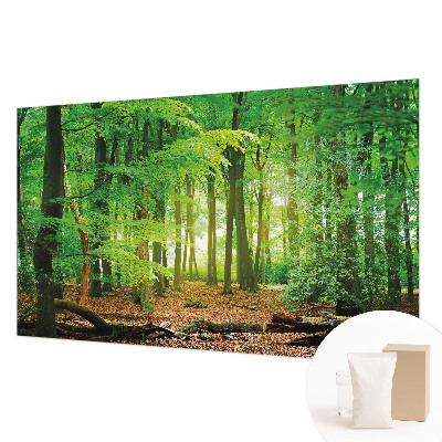Papier peint panoramique sur mesure Zelený les