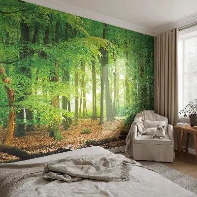 Papier peint photo imprimé sur tissu non tissé Forêt verte