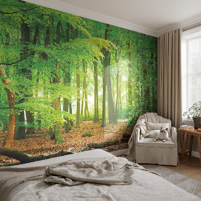 Papier peint panoramique sur mesure Zelený les