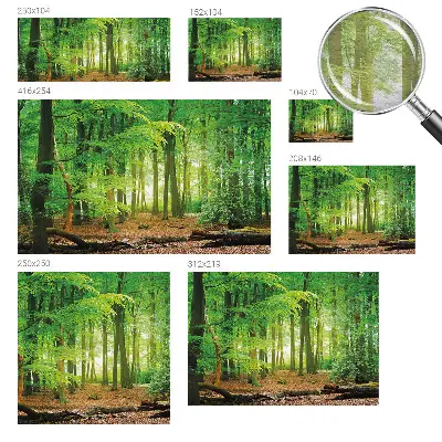 Papier peint photo imprimé sur tissu non tissé Forêt verte