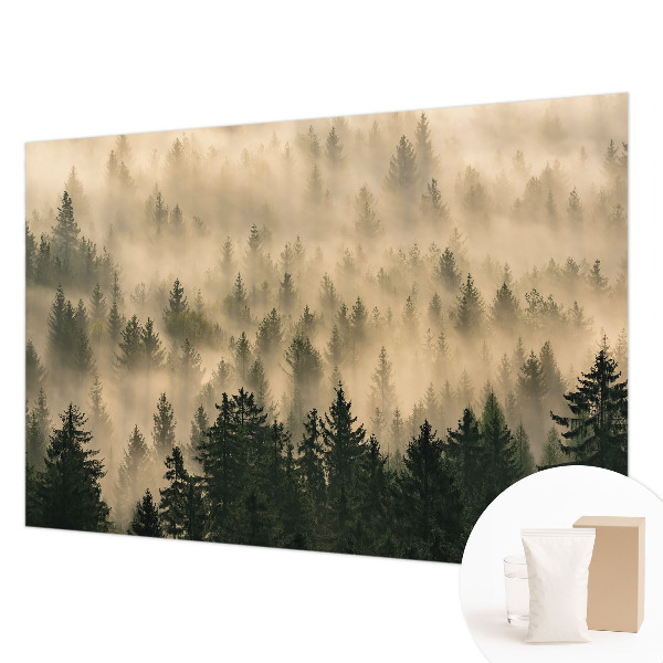 Papier peint panoramique tendance avec un motif de brume forestière