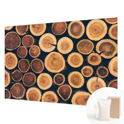 Papier peint photo grand format pour le mur cercles en bois