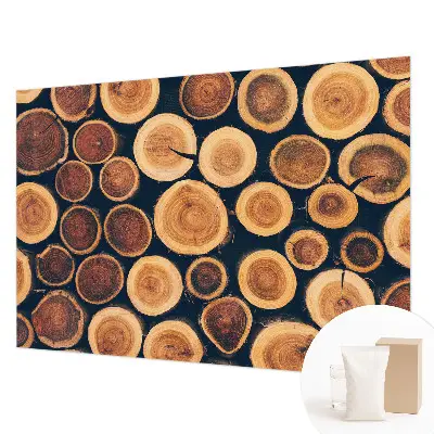 Papier peint photo grand format pour le mur cercles en bois