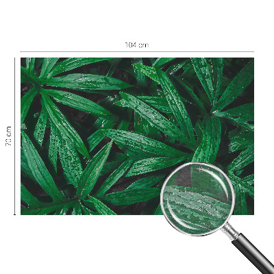 Tapisserie murale avec motif de verdure naturelle