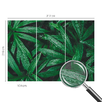 Tapisserie murale Prírodná zeleň