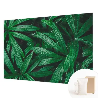 Papier peint intissé verdure naturelle