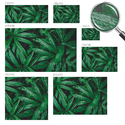 Tapisserie murale Prírodná zeleň