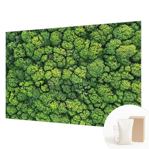 Papier peint photo grand format pour le mur Panorama forestier
