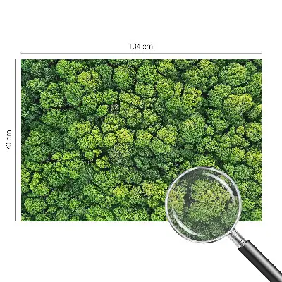 Papier peint photo grand format pour le mur Panorama forestier