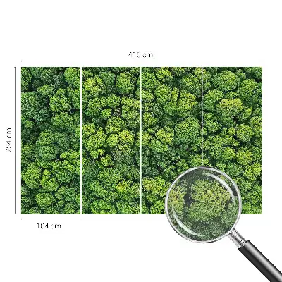 Papier peint photo grand format pour le mur Panorama forestier