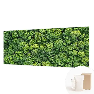 Papier peint photo grand format pour le mur Panorama forestier