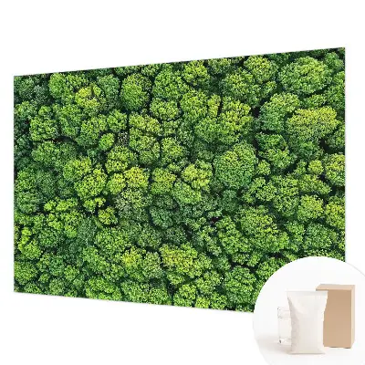 Papier peint photo grand format pour le mur Panorama forestier