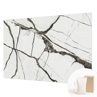 Papier peint photographique salon avec un motif de fissures marbrées