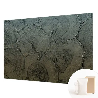 Papier peint photo grand format pour le mur anneaux en bois