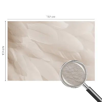 Papier peint photo sur tissu non tissé Plumes éthérées