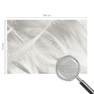 Papier peint photographique intissé Plumes subtiles