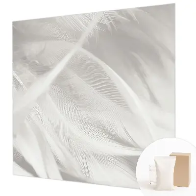 Papier peint photographique intissé Plumes subtiles