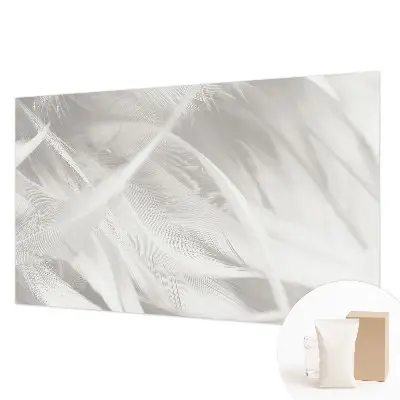 Papier peint photographique intissé Plumes subtiles