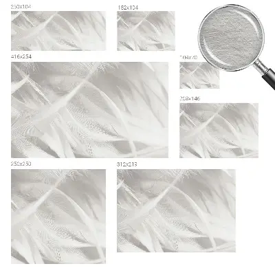 Papier peint photographique intissé Plumes subtiles