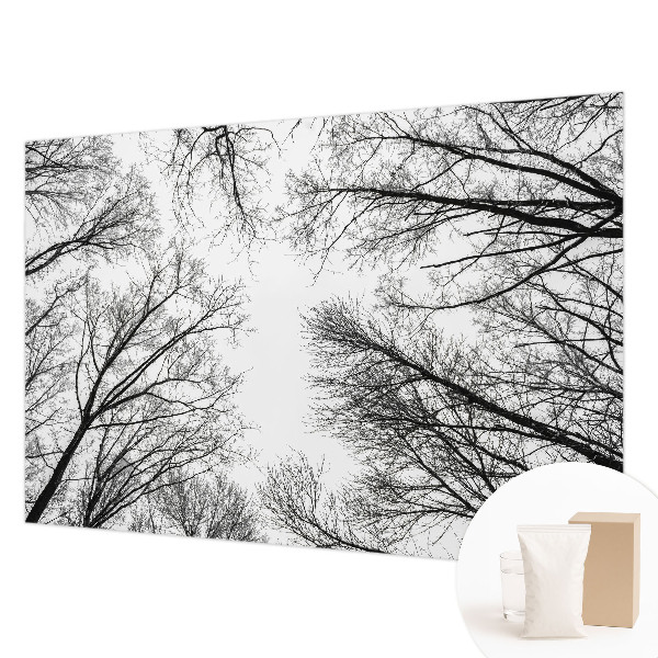 Papier peint panoramique chambre avec motif de branches nues