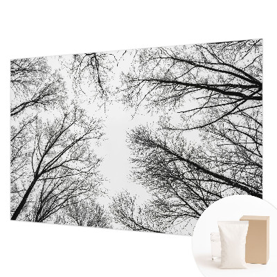 Papier peint panoramique chambre avec motif de branches nues