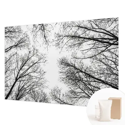 Papier peint photo sur tissu non tissé branches nues