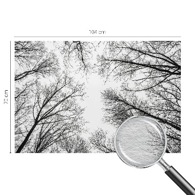 Papier peint panoramique chambre avec motif de branches nues