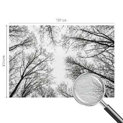 Papier peint panoramique chambre avec motif de branches nues