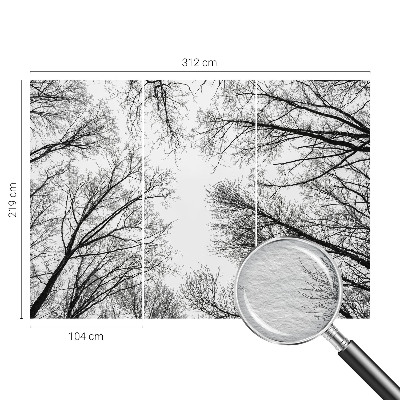 Papier peint panoramique chambre avec motif de branches nues