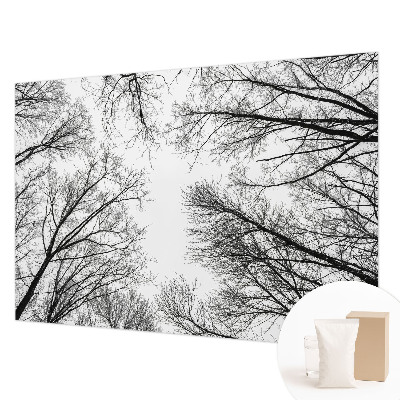 Papier peint panoramique chambre avec motif de branches nues