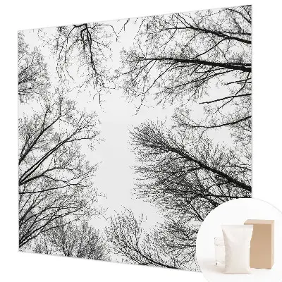 Papier peint photo sur tissu non tissé branches nues