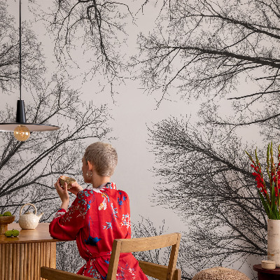 Papier peint panoramique chambre Holé konáre