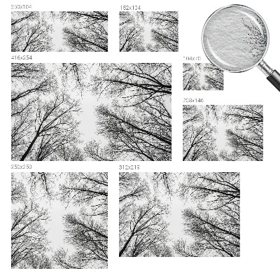 Papier peint panoramique chambre avec motif de branches nues