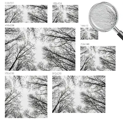 Papier peint photo sur tissu non tissé branches nues