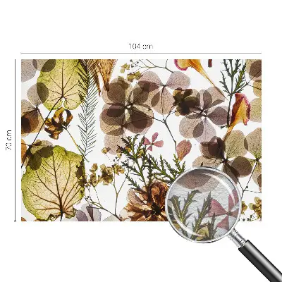 Papier peint photographique sur tissu non tissé Composition naturelle