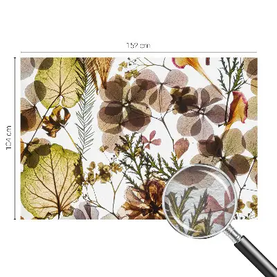 Papier peint photographique sur tissu non tissé Composition naturelle