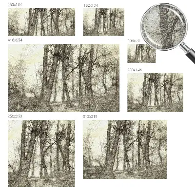 Papier peint photographique intissé Mélancolie de la forêt