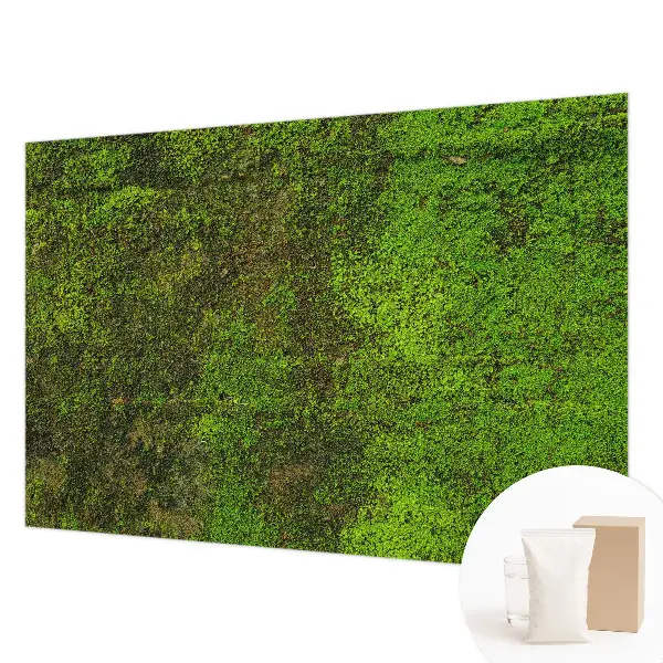 Papier peint intissé Tapis vert
