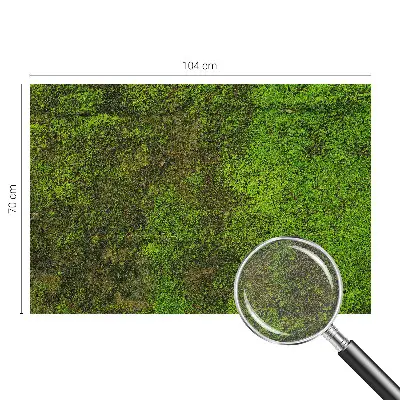 Papier peint intissé Tapis vert