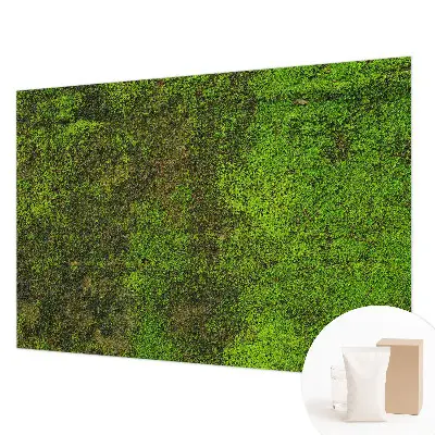 Papier peint intissé Tapis vert