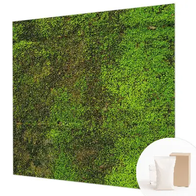 Papier peint intissé Tapis vert