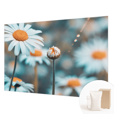 Papier peint photo avec le motif « Harmančeková pochúťka »