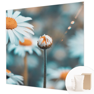 Papier peint photo Harmančeková pochúťka